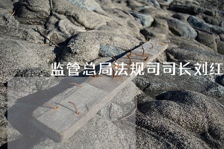 监管总局法规司司长刘红亮 监管总局法规司司长刘红亮