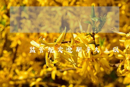 监管规定逾期多久上报 监管规定逾期多久上报