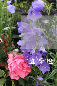 监管逾期贷款相关规定 监管逾期贷款相关规定