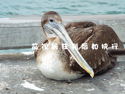 监视居住判后如执行