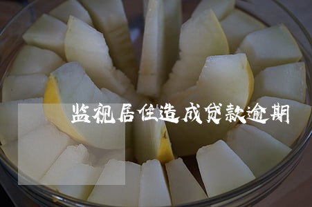 监视居住造成贷款逾期 监视居住造成贷款逾期