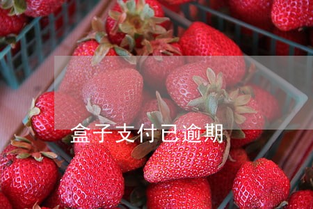 盒子支付已逾期 盒子支付已逾期