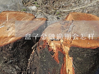 盒子金融逾期会怎样 盒子金融逾期会怎样