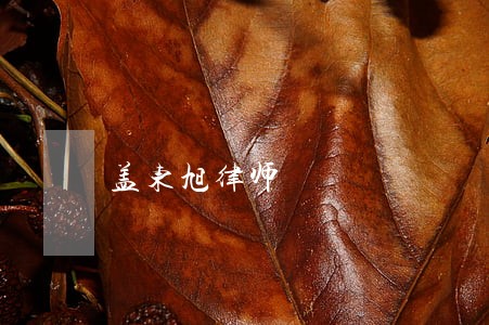 盖东旭律师 盖东旭律师