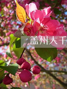 盖州大千律师事务所 盖州大千律师事务所
