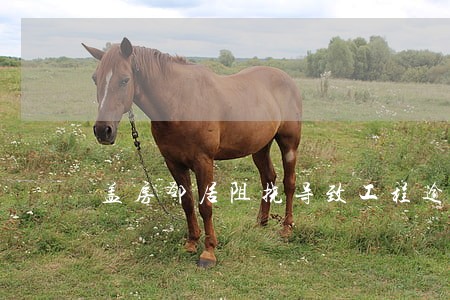 盖房邻居阻挠导致工程逾期怎么办 盖房邻居阻挠导致工程逾期怎么办