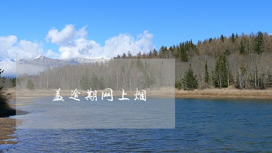 盖逾期网上烟 盖逾期网上烟