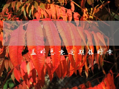 盖非恶意逾期银行章 盖非恶意逾期银行章