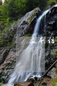 盗刷信用卡造成逾期 盗刷信用卡造成逾期