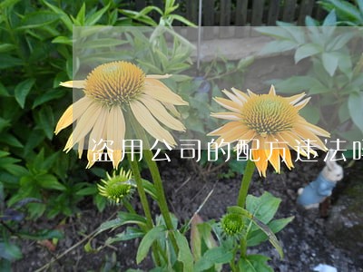盗用公司的配方违法吗 盗用公司的配方违法吗