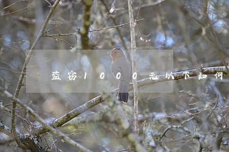 盗窃1000元以下如何定罪