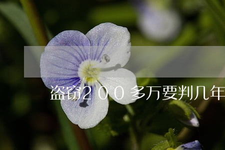 盗窃200多万要判几年 盗窃200多万要判几年