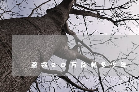 盗窃20万能判多少年 盗窃20万能判多少年