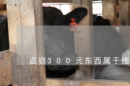 盗窃300元东西属于违法行为吗