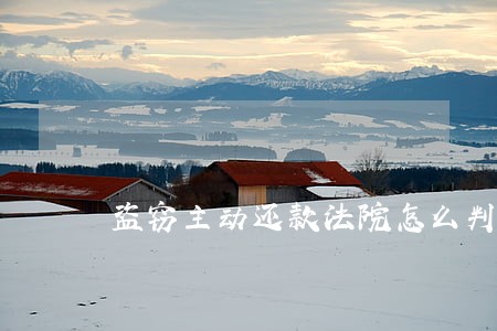 盗窃主动还款法院怎么判 盗窃主动还款法院怎么判
