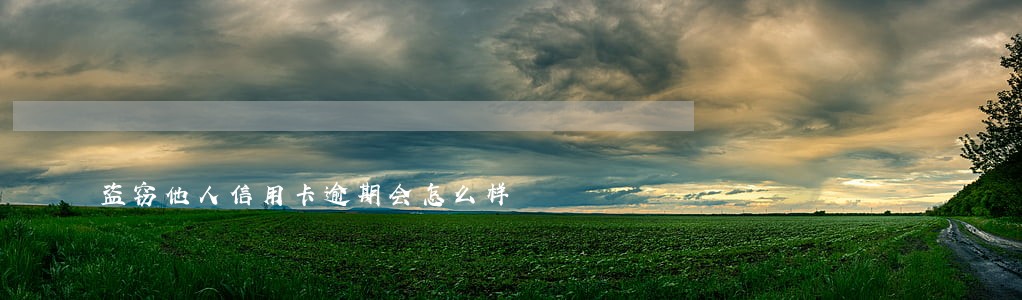 盗窃他人信用卡逾期会怎么样 盗窃他人信用卡逾期会怎么样