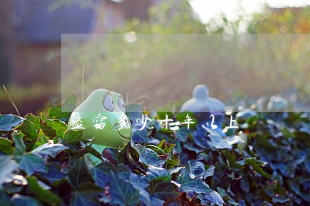 盗窃多少十年以上