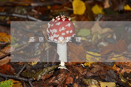 盗窃怎么处理 盗窃怎么处理
