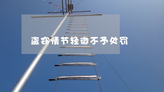 盗窃情节轻微不予处罚