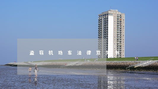 盗窃机动车法律意见书 盗窃机动车法律意见书