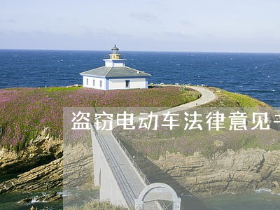 盗窃电动车法律意见书 盗窃电动车法律意见书