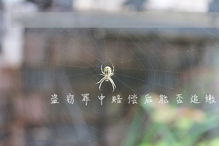 盗窃罪中赔偿后能否追缴违法所得