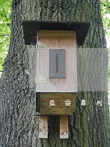 盗窃罪判缓刑罚金是多少倍 盗窃罪判缓刑罚金是多少倍