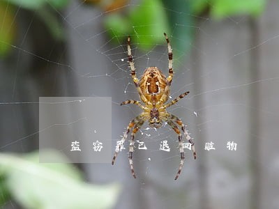 盗窃罪已退回赃物 盗窃罪已退回赃物