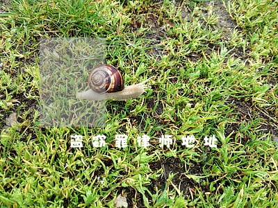 盗窃罪律师地址