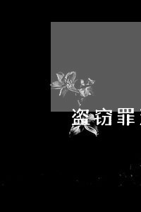 盗窃罪法律法规司法解释 盗窃罪法律法规司法解释
