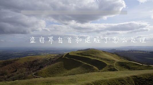 盗窃罪自首和退赃了怎么处理 盗窃罪自首和退赃了怎么处理