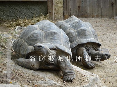 盗窃被派出所抓去怎么处理 盗窃被派出所抓去怎么处理