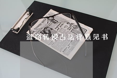 盗窃转侵占法律意见书