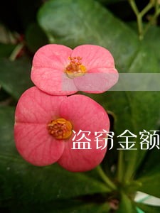 盗窃金额1万元按刑法判几年 盗窃金额1万元按刑法判几年