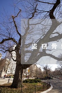 盗窃骨髓案遭遇法律空白