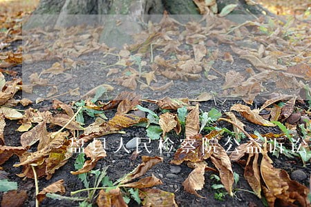 盘县人民检察院公益诉讼 盘县人民检察院公益诉讼