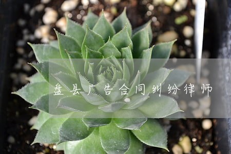 盘县广告合同纠纷律师 盘县广告合同纠纷律师