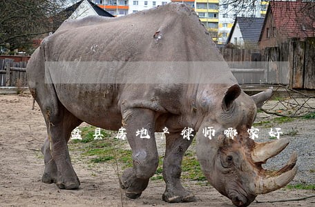盘县房地产律师哪家好 盘县房地产律师哪家好