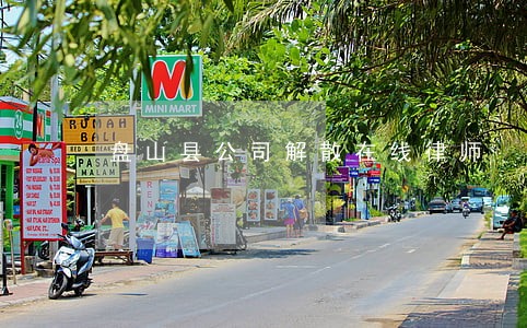 盘山县公司解散在线律师