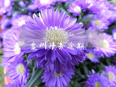 盘州债务逾期 盘州债务逾期