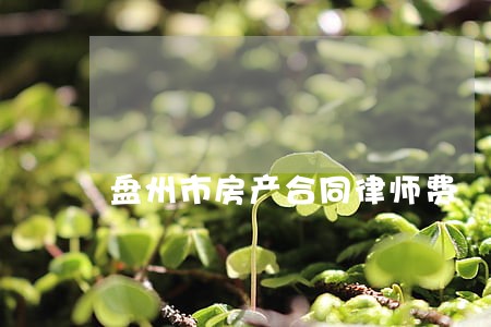 盘州市房产合同律师费 盘州市房产合同律师费