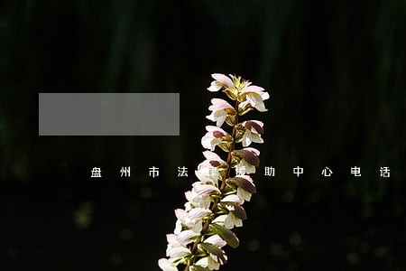 盘州市法律援助中心电话 盘州市法律援助中心电话