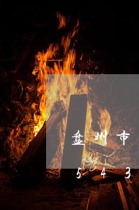 盘州市法院淘宝网/2023030886543