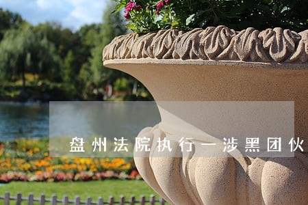 盘州法院执行一涉黑团伙财产 盘州法院执行一涉黑团伙财产
