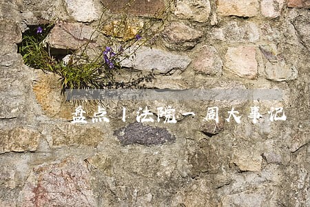 盘点丨法院一周大事记 盘点丨法院一周大事记
