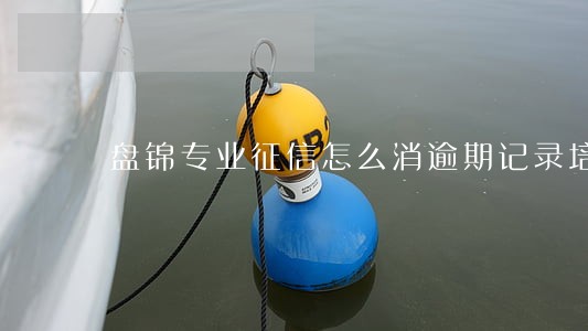 盘锦专业征信怎么消逾期记录培训 盘锦专业征信怎么消逾期记录培训