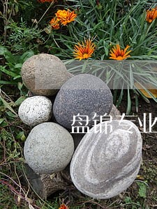 盘锦专业房产律师推荐 盘锦专业房产律师推荐