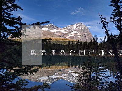 盘锦债务合同律师免费咨询 盘锦债务合同律师免费咨询