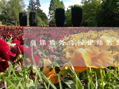 盘锦债务合同律师怎么委托 盘锦债务合同律师怎么委托