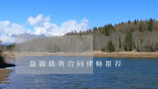 盘锦债务合同律师推荐 盘锦债务合同律师推荐